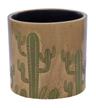 Shine Cactus Cylinder Coffee D20H19